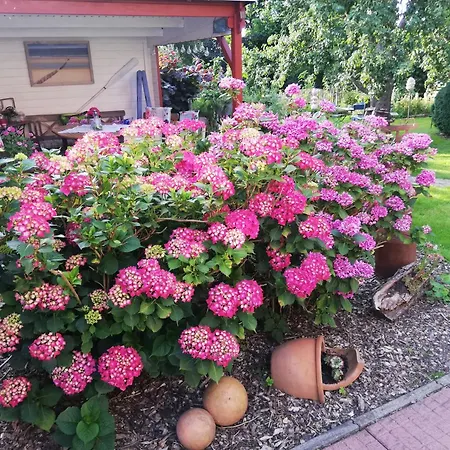 Alte Pastorei Διαμέρισμα *