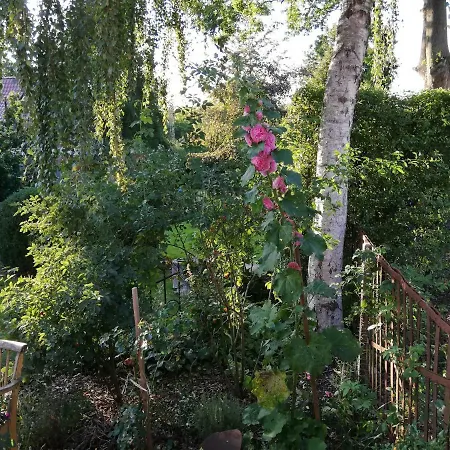 Alte Pastorei Apartmán *