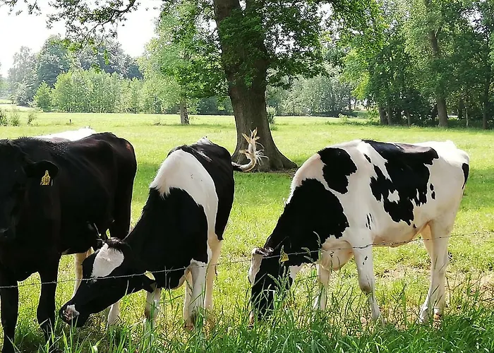 Alte Pastorei Apartment *